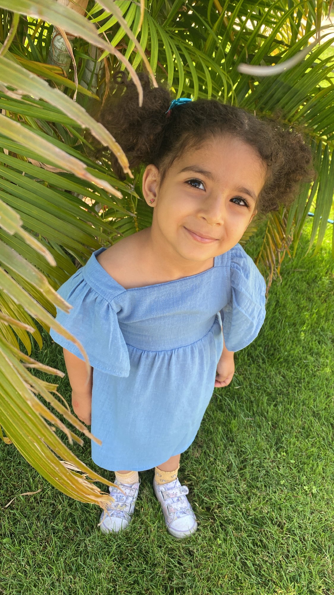 Flutter Sleeve Dress