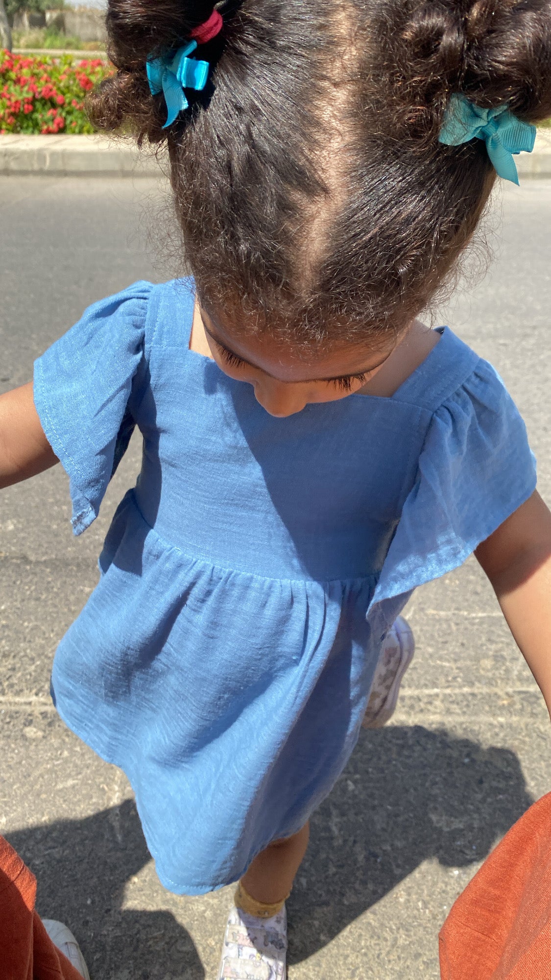 Flutter Sleeve Dress