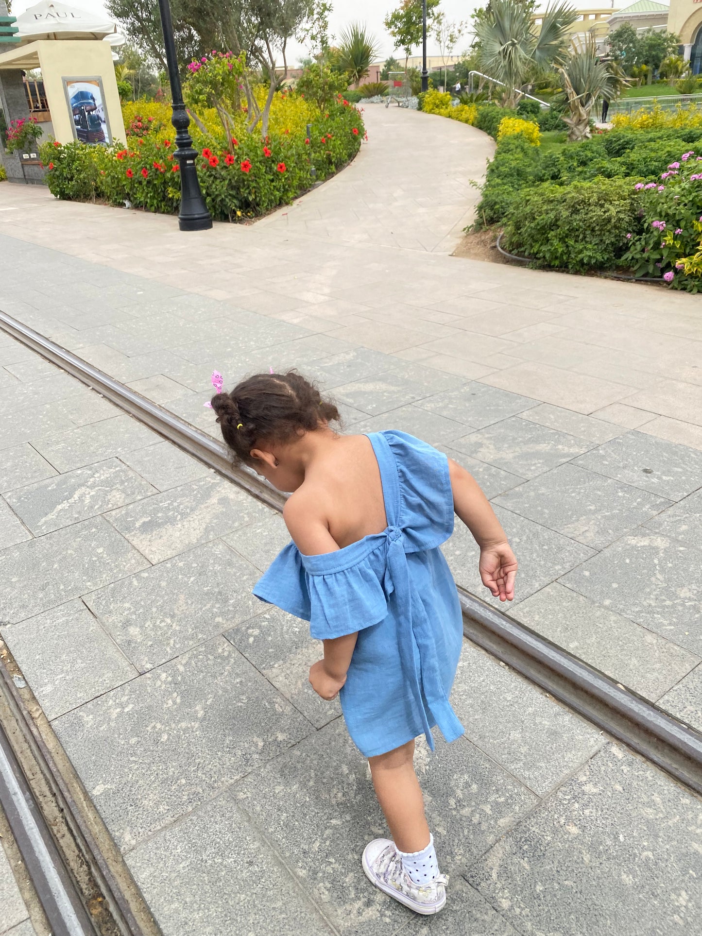 Flutter Sleeve Dress